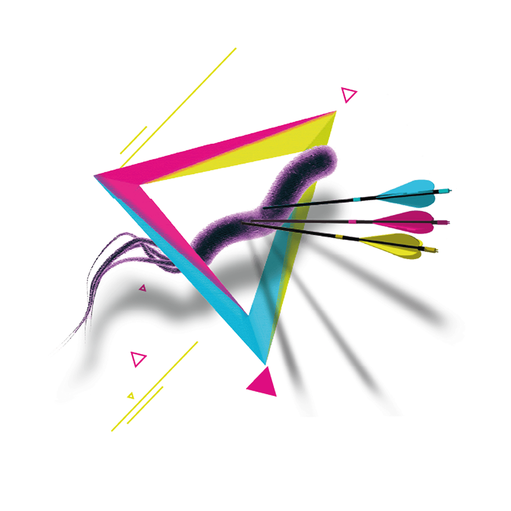 Icône TriPYcure